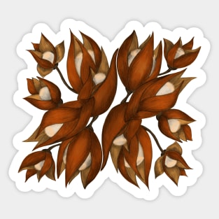 Physalis. Autumn flowers Sticker